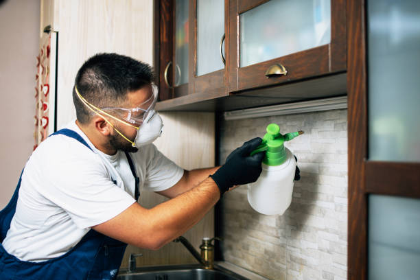 Best Pest Removal Services  in Wisr, NE