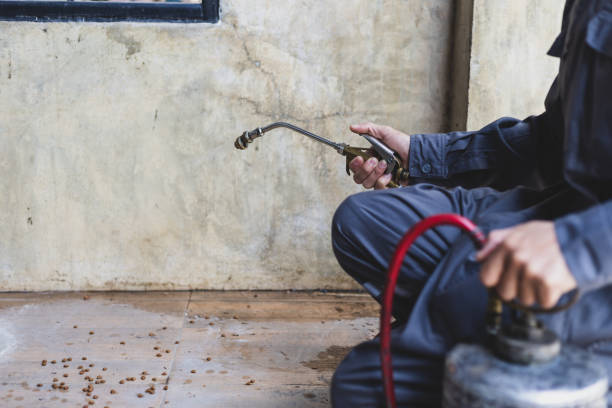 Best Pest Prevention Services  in Wisr, NE